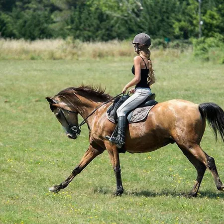 Bt - Le Soleia, Confort & Lumiere, 2 Ch, 2 Sdb, Entre Et Petite Camargue, Super Equipe 4*