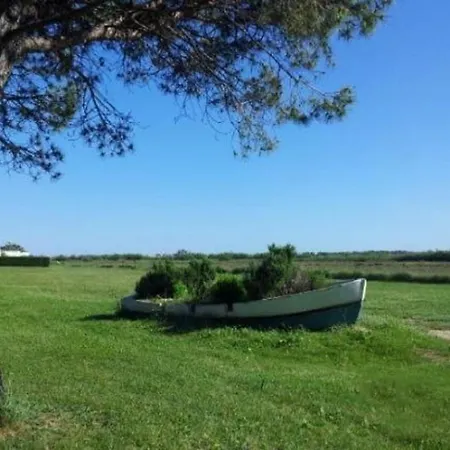 Bt - Le Soleia, Confort&lumière, 2 Ch, 2 Sdb, Entre Et Petite Camargue, Super équipé