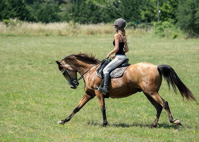 Bt - Le Soleia, Confort & Lumiere, 2 Ch, 2 Sdb, Entre Et Petite Camargue, Super Equipe 4*